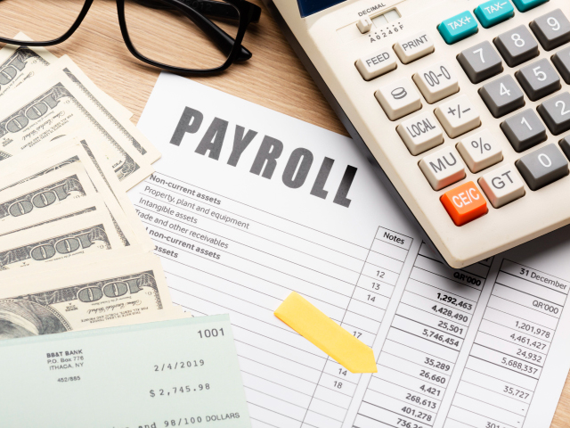 https://www.saturnus.co.in/wp-content/uploads/2024/05/payroll-service-01.jpg